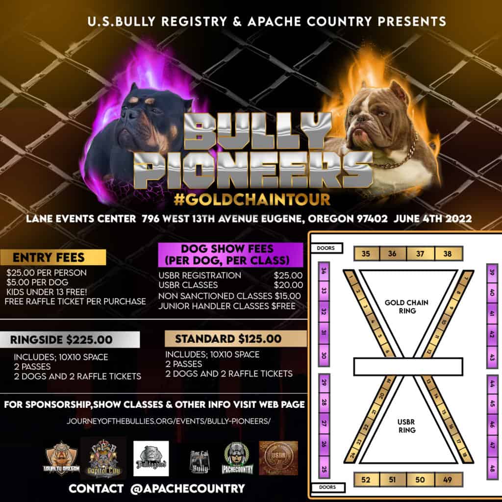 Inside the World Bully Registry's Main Event Bully Expo Show 2023 in  Pomona, California 